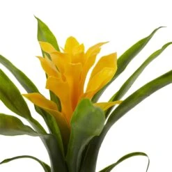 10” Bromeliad Artificial Flower (Set Of 6) 15 10” Bromeliad Artificial Flower (Set Of 6) -Artificial Trees Store artificial 10 bromeliad artificial flower set of 6 nearly natural 741621