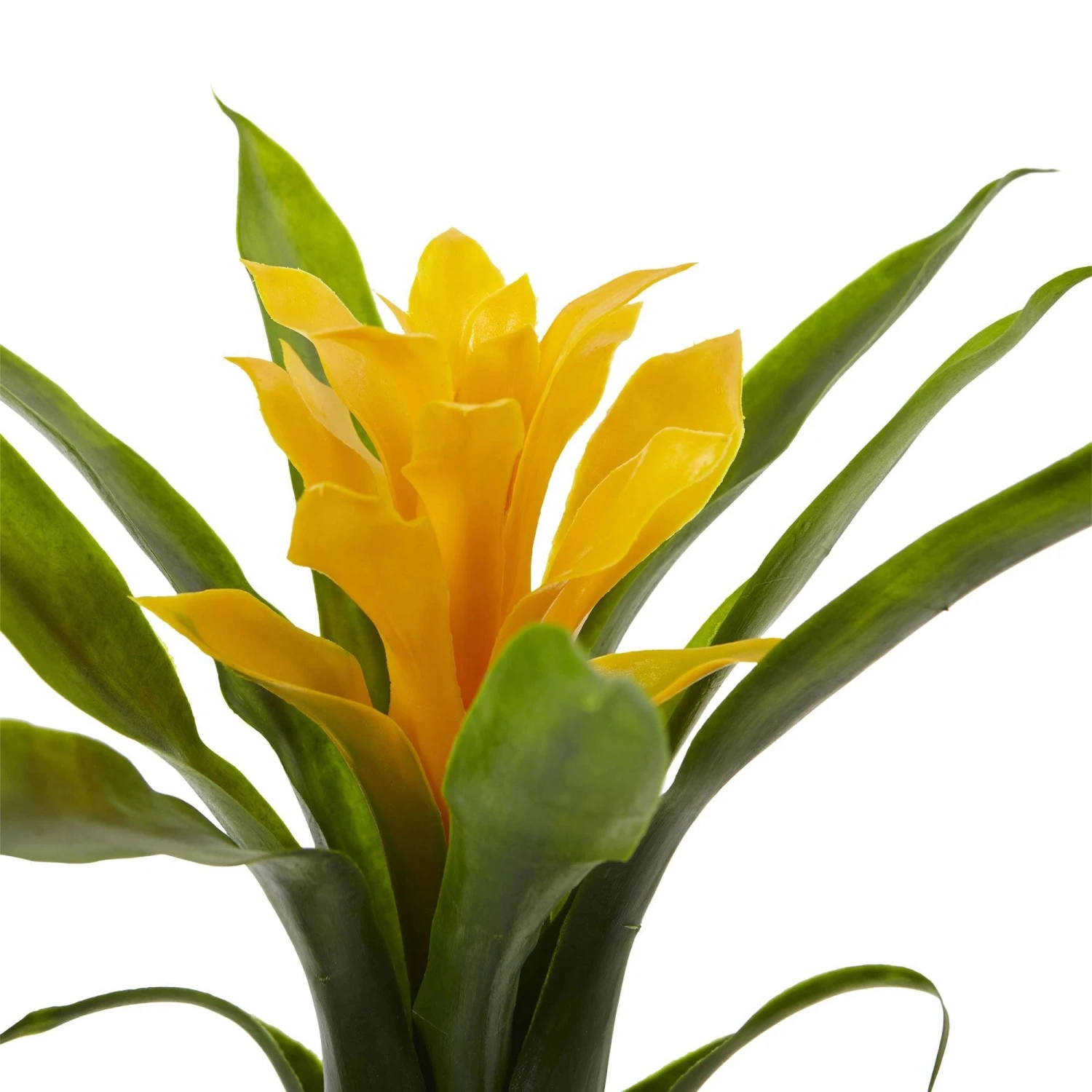 10” Bromeliad Artificial Flower (Set Of 6) 8 10” Bromeliad Artificial Flower (Set Of 6) - Image 8