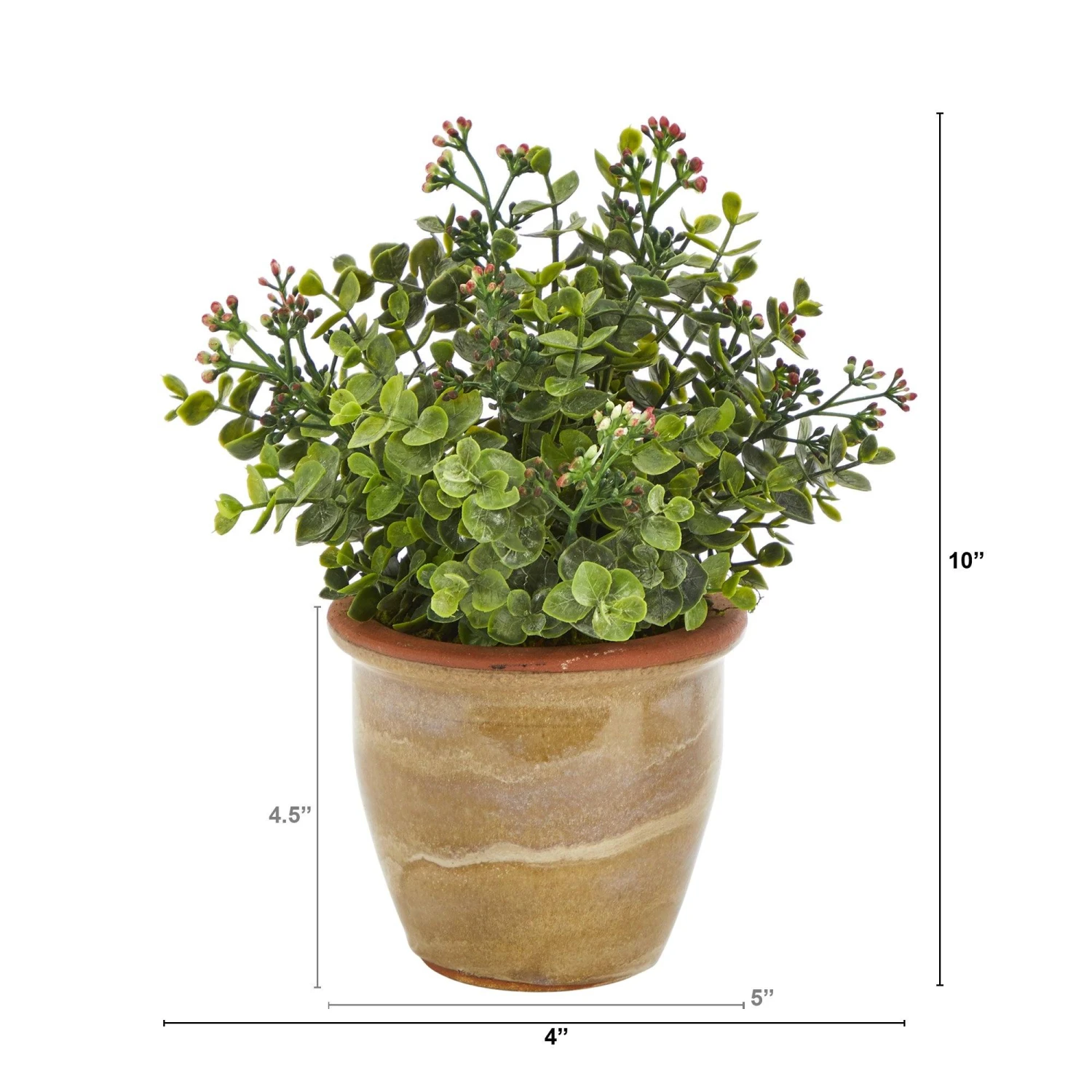 10” Eucalyptus And Sedum Succulent Artificial Plant In Ceramic Planter 2 10” Eucalyptus And Sedum Succulent Artificial Plant In Ceramic Planter - Image 2