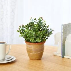 10” Eucalyptus And Sedum Succulent Artificial Plant In Ceramic Planter 5 10” Eucalyptus And Sedum Succulent Artificial Plant In Ceramic Planter -Artificial Trees Store artificial 10 eucalyptus and sedum succulent artificial plant in ceramic planter nearly natural 753883