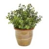 10” Eucalyptus And Sedum Succulent Artificial Plant In Ceramic Planter