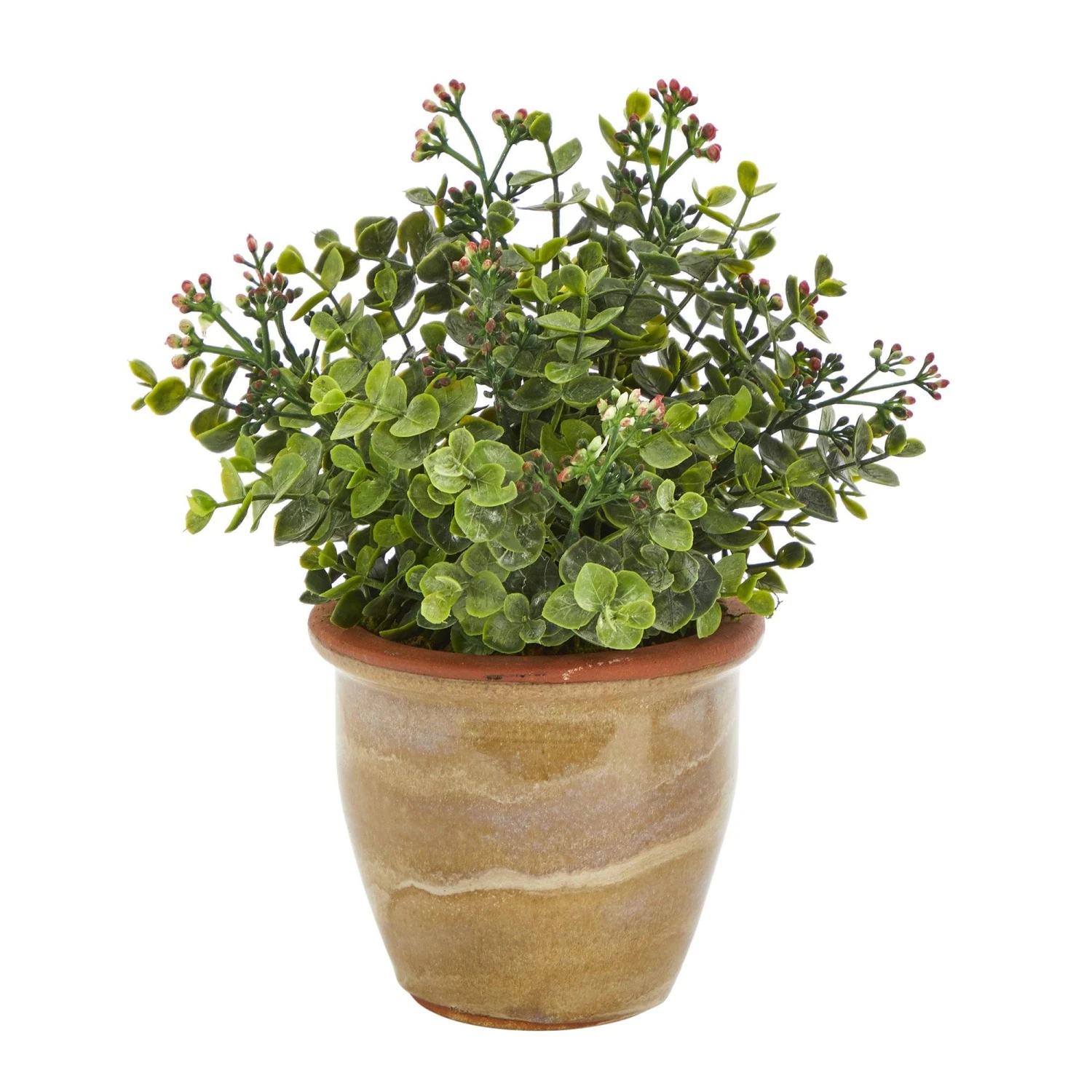 10” Eucalyptus And Sedum Succulent Artificial Plant In Ceramic Planter 1 10” Eucalyptus And Sedum Succulent Artificial Plant In Ceramic Planter