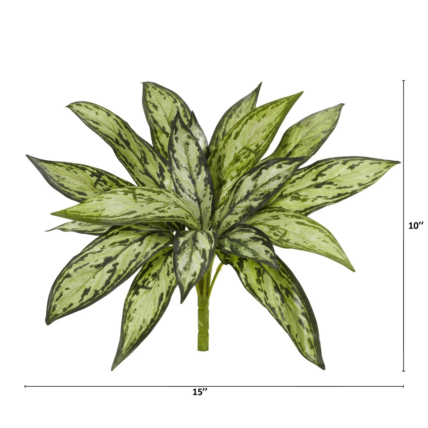 10” Silver Queen Artificial Plant (Set Of 6) 2 10” Silver Queen Artificial Plant (Set Of 6) - Image 2