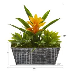 11” Bromeliad And Agave Plant In Black Tin Planter 8 11” Bromeliad And Agave Plant In Black Tin Planter -Artificial Trees Store artificial 11 bromeliad and agave plant in black tin planter nearly natural 583725