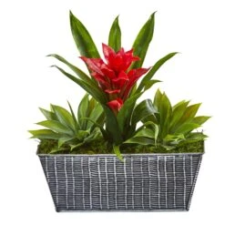 11” Bromeliad And Agave Plant In Black Tin Planter 11 11” Bromeliad And Agave Plant In Black Tin Planter -Artificial Trees Store artificial 11 bromeliad and agave plant in black tin planter nearly natural red 652221