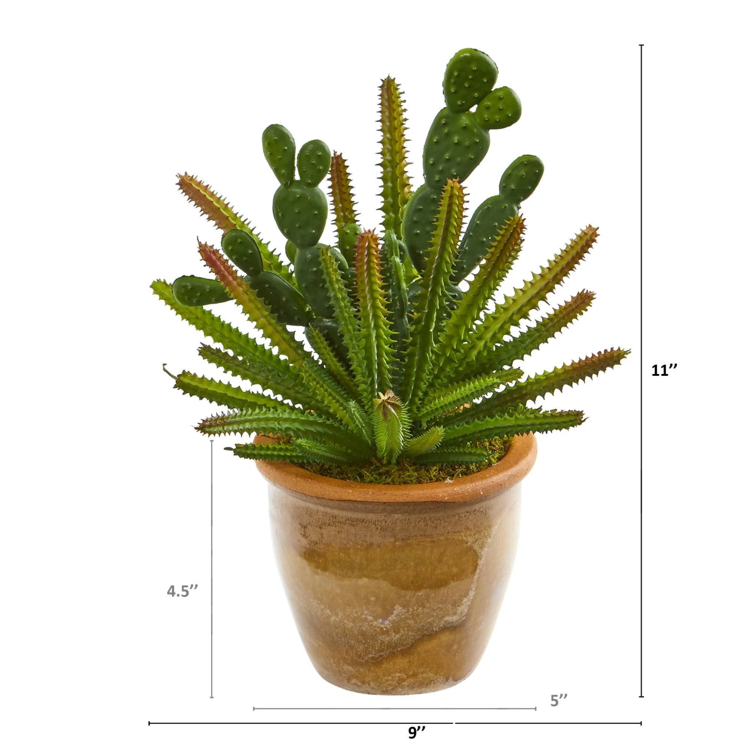11” Cactus Artificial Plant In Ceramic Planter 2 11” Cactus Artificial Plant In Ceramic Planter - Image 2