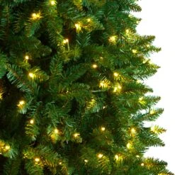 11’ Slim Green Mountain Pine Christmas Tree With 950 Clear LED Lights And 2836 Bendable Branches 11 11’ Slim Green Mountain Pine Christmas Tree With 950 Clear LED Lights And 2836 Bendable Branches -Artificial Trees Store artificial 11 slim green mountain pine christmas tree with 950 clear led lights and 2836 bendable branches nearly natural 267361