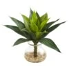 12" Agave Succulent Artificial Plant In Glass Vase"