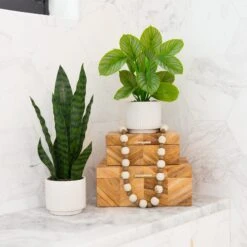 12" Artificial Calathea Plant With Decorative Planter -Artificial Trees Store artificial 12 artificial calathea plant with decorative planter plant in planter nearly natural 553672