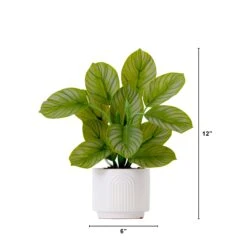 12" Artificial Calathea Plant With Decorative Planter -Artificial Trees Store artificial 12 artificial calathea plant with decorative planter plant in planter nearly natural 667065