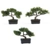 12" Bonsai Silk Plant Collection (Set Of 3)"