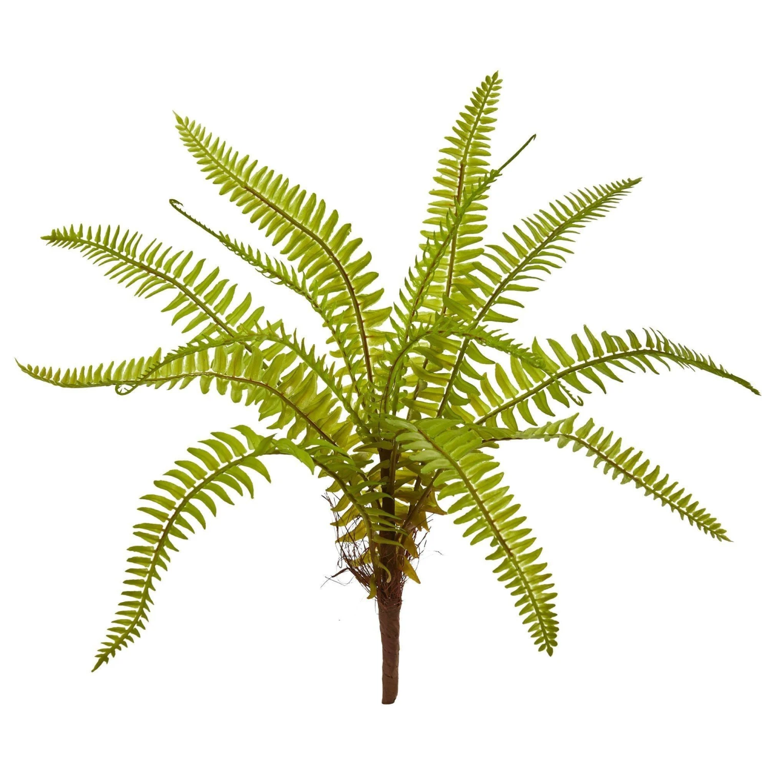 12” Fern Artificial Plant (Set Of 12) 1 12” Fern Artificial Plant (Set Of 12)