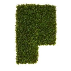 12” Mini Podocarpus Artificial Wall Mat (Indoor/Outdoor) (Set Of 6) Trellis -Artificial Trees Store artificial 12 mini podocarpus artificial wall mat indooroutdoor set of 6 nearly natural 489624