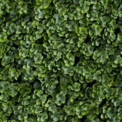 12” Succulent Artificial Wall Mat (Indoor/Outdoor) (Set Of 6) -Artificial Trees Store artificial 12 succulent artificial wall mat indooroutdoor set of 6 nearly natural 202564