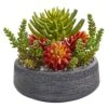 12” Succulent Garden Artificial Plant In Bowl