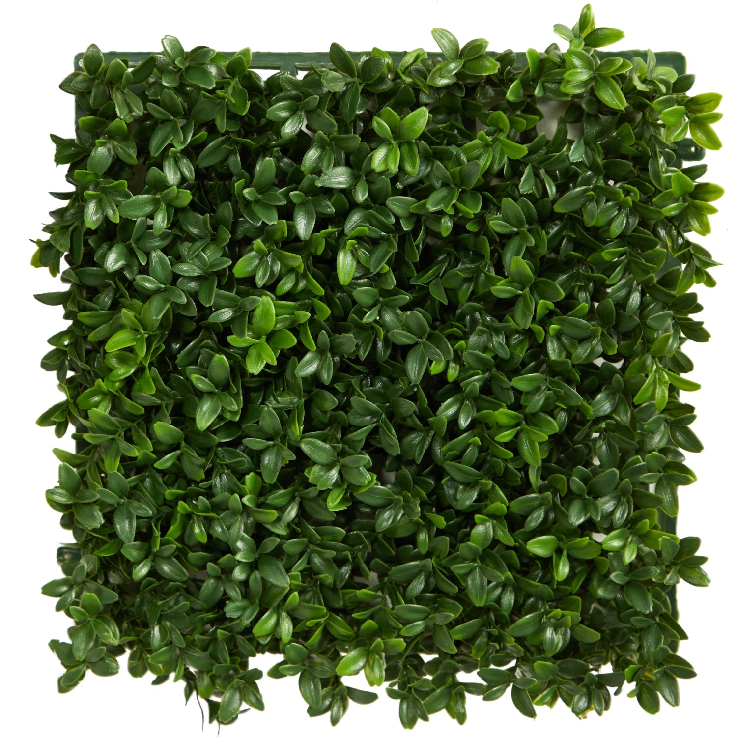 12” Tea Leaf Artificial Wall Mat (Indoor/Outdoor) (Set Of 6) 3 12” Tea Leaf Artificial Wall Mat (Indoor/Outdoor) (Set Of 6) - Image 3