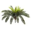 13” Cycas Artificial Plant (Set Of 2)
