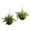 13" Leather Fern Hanging Basket W/ Moss - Set Of 2 + (Indoor/Outdoor)