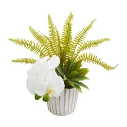13” Phalaenopsis Orchid, Agave And Fern Artificial Arrangement (Set Of 2) -Artificial Trees Store artificial 13 phalaenopsis orchid agave and fern artificial arrangement set of 2 nearly natural 295095