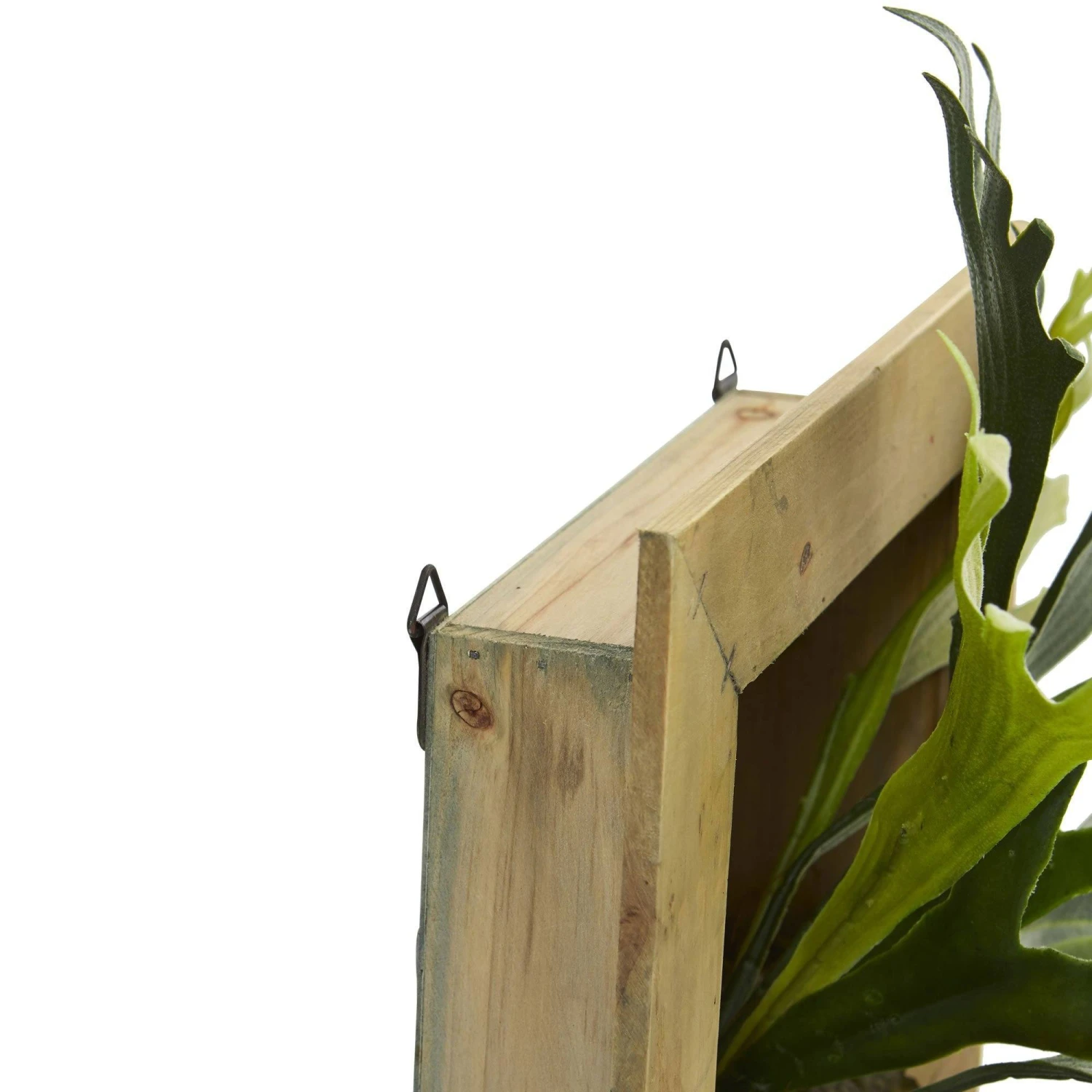 13” Staghorn Artificial Plant In Wood Hanging Frame 3 13” Staghorn Artificial Plant In Wood Hanging Frame - Image 3