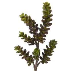 13” Succulent Artificial Flower (Set Of 12) -Artificial Trees Store artificial 13 succulent artificial flower set of 12 nearly natural green burgundy 189762