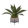 14” Agave Succulent In Decorative Planter