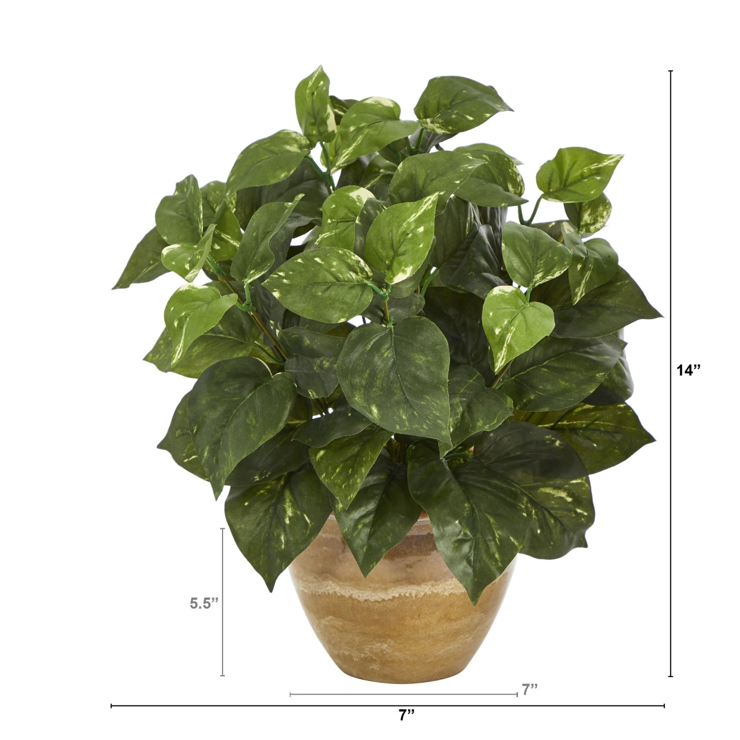 14” Pothos Artificial Plant In Ceramic Planter 2 14” Pothos Artificial Plant In Ceramic Planter - Image 2