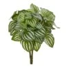 14” Watermelon Peperomia Artificial Plant (Set Of 6) (Real Touch)