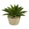 1.5’ Agave Succulent Artificial Plant In White Planter