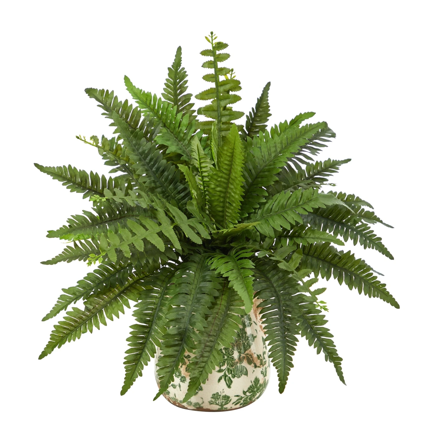 15” Boston Fern Artificial Plant With Tuscan Ceramic Green Scroll Planter 1 15” Boston Fern Artificial Plant With Tuscan Ceramic Green Scroll Planter
