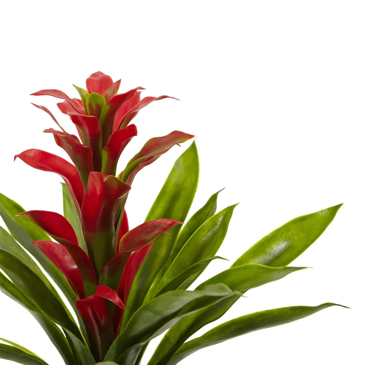 15” Artificial Bromeliad Flower (Set Of 4) 5 15” Artificial Bromeliad Flower (Set Of 4) - Image 5
