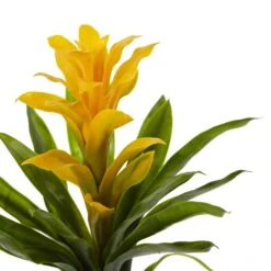 15” Artificial Bromeliad Flower (Set Of 4) 13 15” Artificial Bromeliad Flower (Set Of 4) -Artificial Trees Store artificial 15 bromeliad artificial flower set of 4 nearly natural 541924
