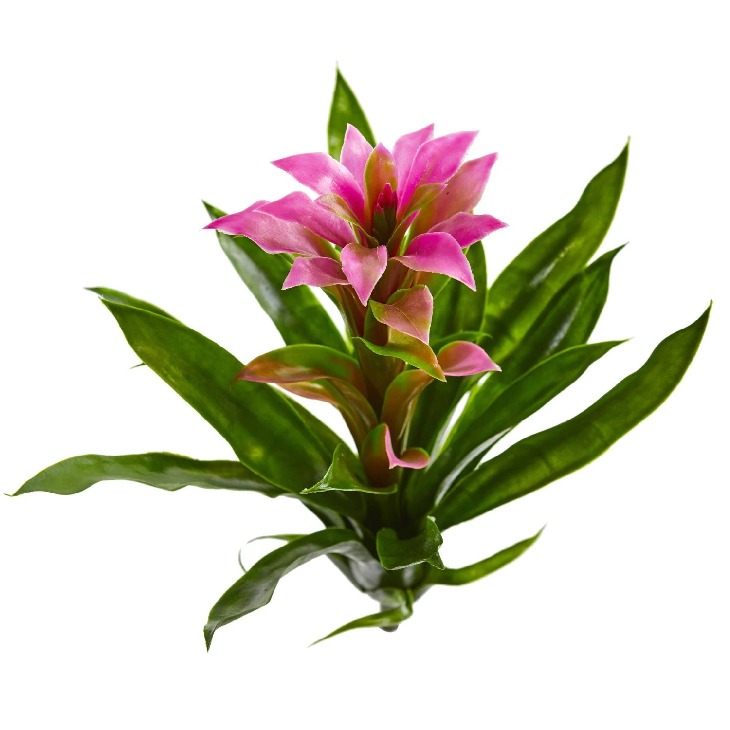 15” Artificial Bromeliad Flower (Set Of 4) 2 15” Artificial Bromeliad Flower (Set Of 4) - Image 2