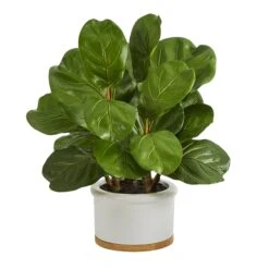 15” Fiddle Leaf Artificial Tree In White Planter