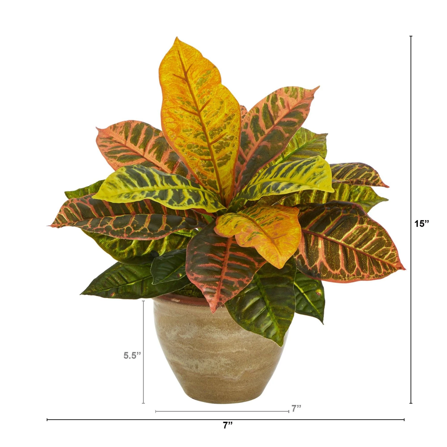 15” Garden Croton Artificial Plant In Ceramic Planter (Real Touch) 2 15” Garden Croton Artificial Plant In Ceramic Planter (Real Touch) - Image 2