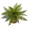 15” Ruffle Fern Bush W/Burlap Base (Set Of 2)