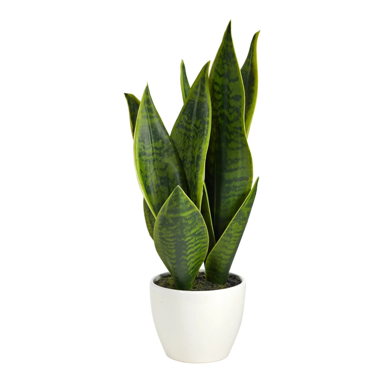 16” Sansevieria Artificial Plant 1 16” Sansevieria Artificial Plant