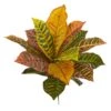 17” Garden Croton Artificial Plant (Real Touch) (Set Of 6)