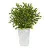 19” Boxwood Artificial Plant In Embossed White Planter (Indoor/Outdoor)