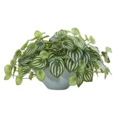 19” Watermelon Peperomia Artificial Plant In Green Vase (Real Touch)