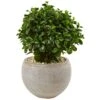 2’ Eucalyptus In Sand Colored Bowl UV Resistant (Indoor/Outdoor)