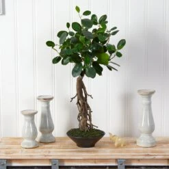 2’ Ficus Bonsai Artificial Tree In Decorative Planter -Artificial Trees Store artificial 2 ficus bonsai artificial tree in decorative planter nearly natural 388165