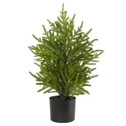 2’ Norfolk Island Pine “Natural Look” Artificial Christmas Tree In Decorative Planter