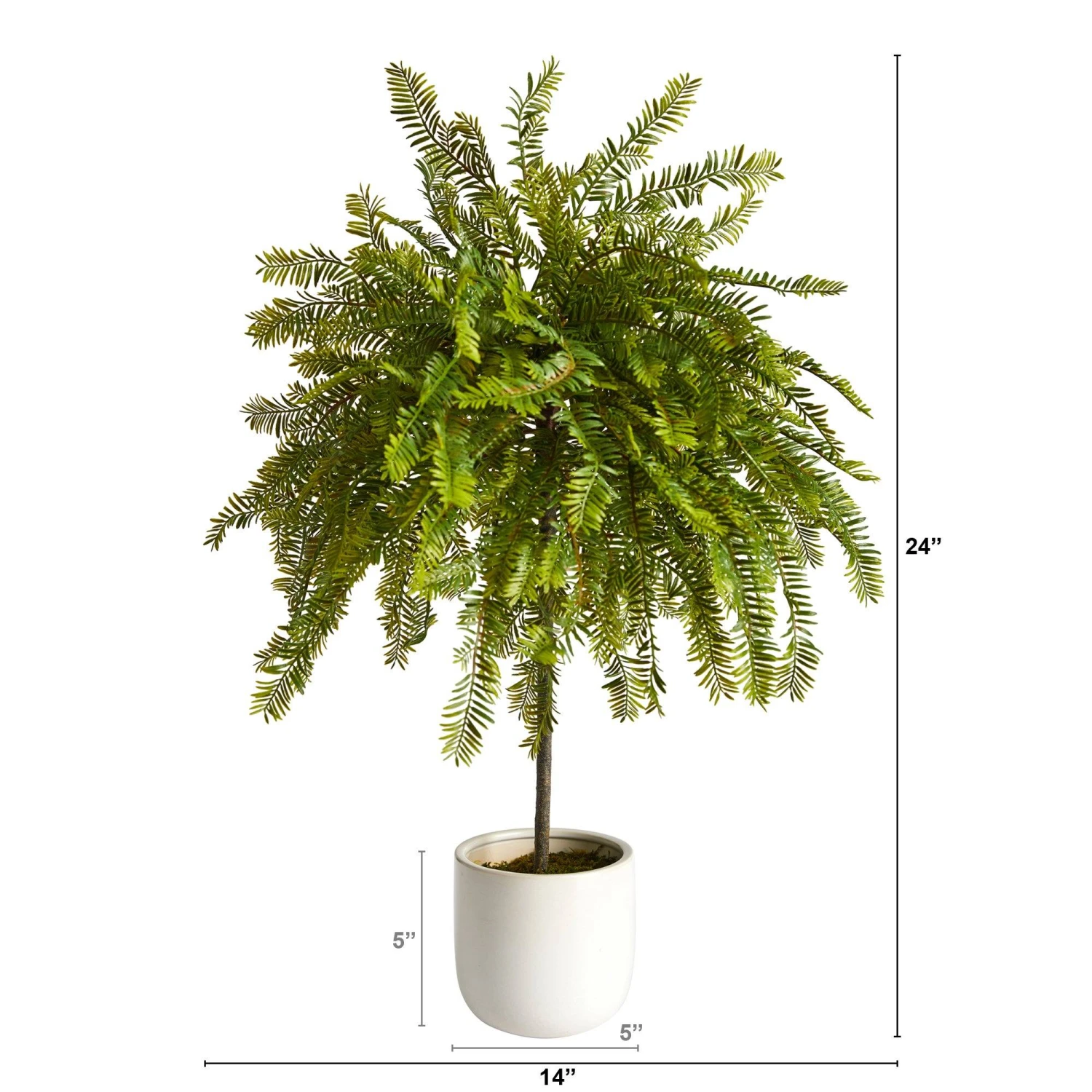 2' Northern Californian Cedar Canopy Artificial Tree In Decorative Planter 2 2' Northern Californian Cedar Canopy Artificial Tree In Decorative Planter - Image 2