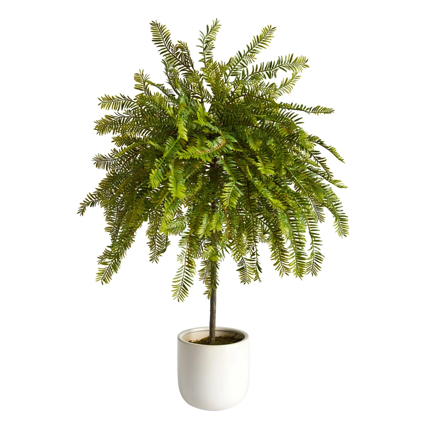 2' Northern Californian Cedar Canopy Artificial Tree In Decorative Planter 1 2' Northern Californian Cedar Canopy Artificial Tree In Decorative Planter