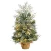 2’ Winter Frosted Artificial Christmas Tree With 35 LED Lights In Burlap Base