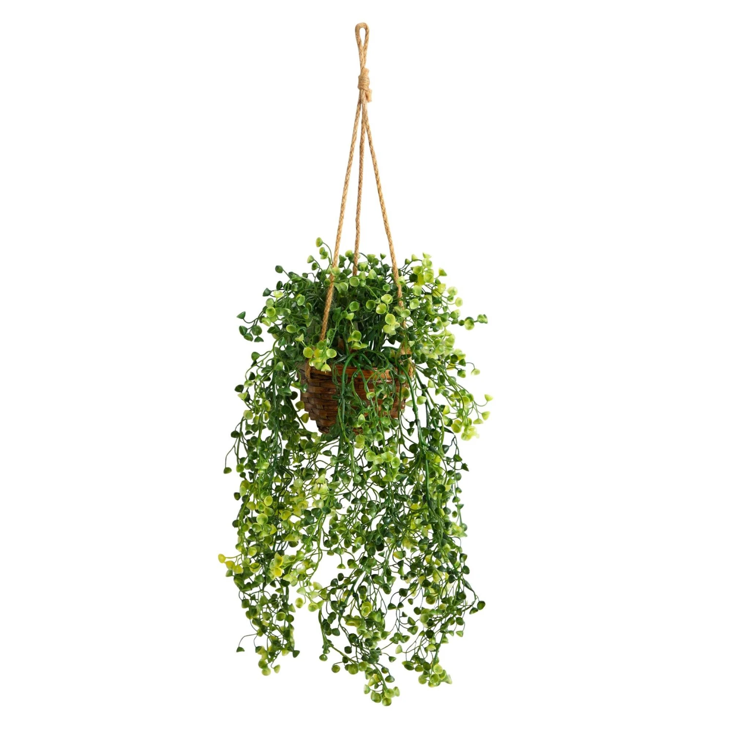 20” Baby Tear Artificial Plant In Hanging Basket 1 20” Baby Tear Artificial Plant In Hanging Basket