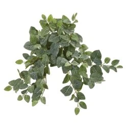 20” Fittonia Artificial Hanging Bush (Set Of 4)