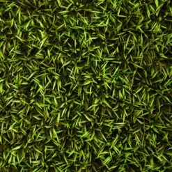 20” Mini Pordocarpus Artificial Wall Mat (Indoor/Outdoor) (Set Of 2) -Artificial Trees Store artificial 20 mini pordocarpus artificial wall mat indooroutdoor set of 2 nearly natural 915237