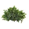 20” Mixed Ficus And Fittonia Artificial Ledge Plant